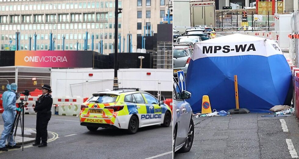 Caçada a faca após homem, de 26 anos, morto a facadas a cinco minutos das Casas do Parlamento | Notícias do Reino Unido