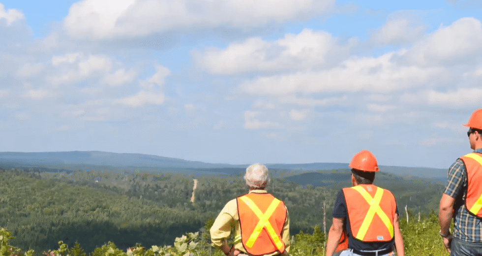 A estratégia de minerais da NB mostra que a província está pronta para ‘competir e vencer’, diz o primeiro-ministro – New Brunswick