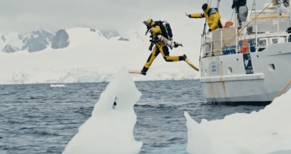 Cientistas descobrem ecossistema inteiro escondido sob o gelo da Antártida