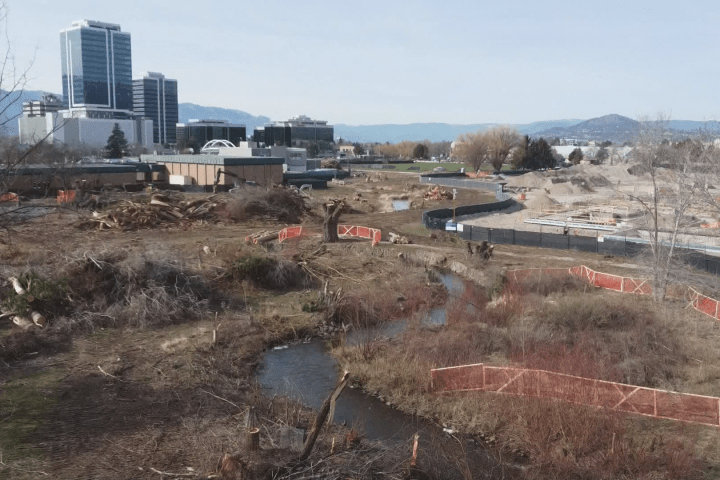 ‘É simplesmente triste:’ Moradores de Kelowna decepcionados depois que a cidade remove uma área de árvores