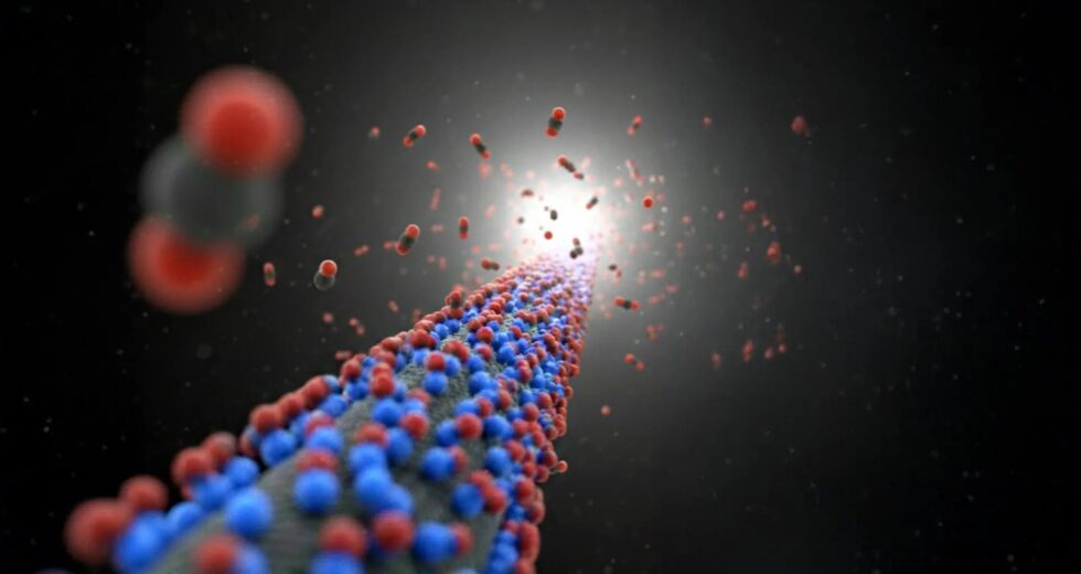 Este novo material de carbono poderia tornar a captura de carbono muito mais acessível