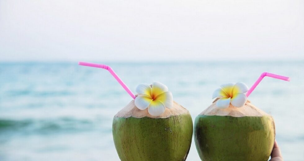 7 melhores horários para beber água de coco, máximo de benefícios
