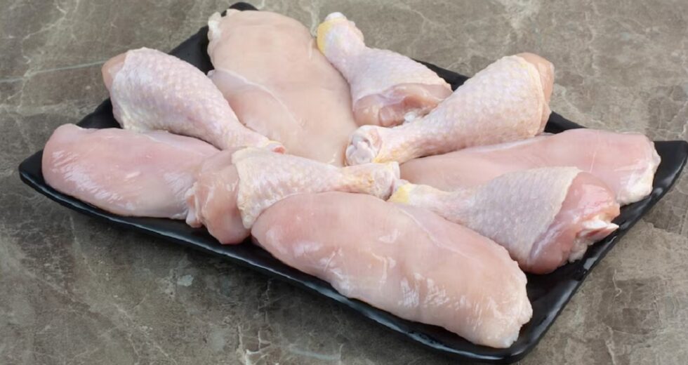 14 toneladas de carne de frango Surabaya rejeitadas em Jayapura porque estavam contaminadas