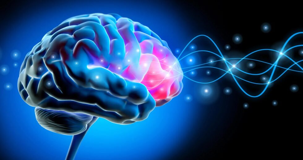 Cérebros com TDAH mostram atividade semelhante à do sono, mesmo quando acordados