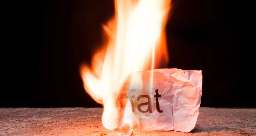 Cientistas descobrem um sistema oculto que transforma a gordura marrom em um queimador de calorias