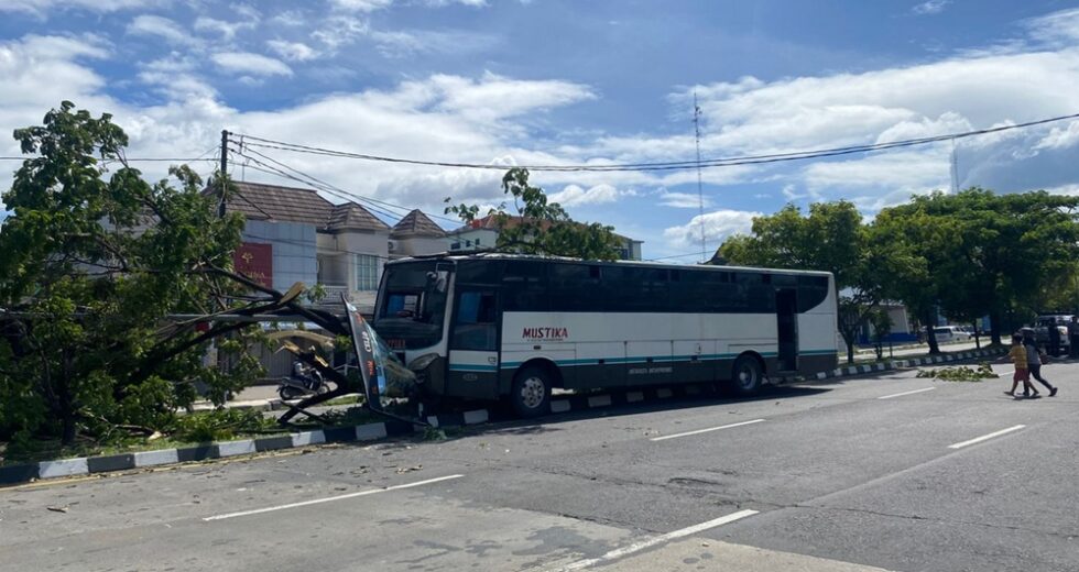 Evite motos, ônibus bate em árvore no anel viário ao sul de Bantul