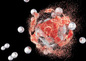 Cientistas descobrem molécula que impede o câncer de mama agressivo