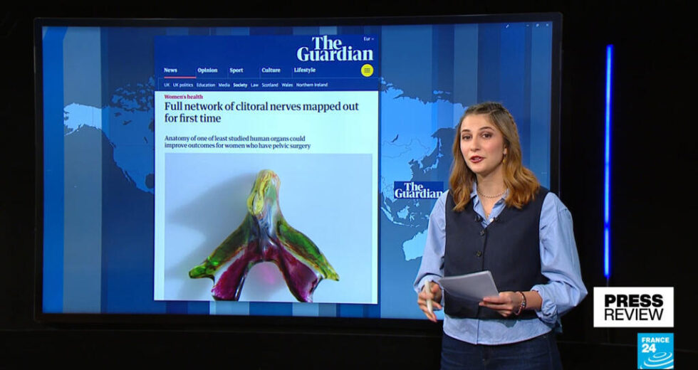 Nervos do clitóris mapeados pela primeira vez, trinta anos após o homólogo masculino – Press Review