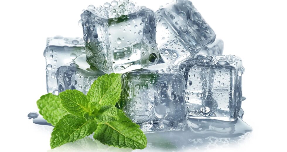 Cientistas finalmente revelam por que a hortelã parece fria