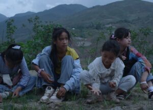 CPH: DOX Awards vão para ‘Whispers In May’, ‘Amazomania’ e muito mais