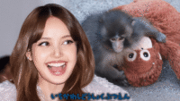 LISA do BLACKPINK visita Punch the Monkey e traz bicho de pelúcia de orangotango