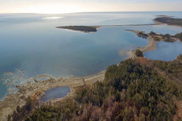O desmatamento começa quando o projeto do Santuário de Baleias na Nova Escócia atinge um marco – Halifax
