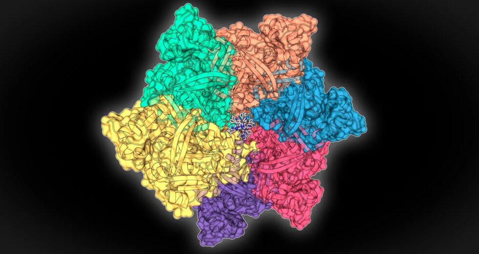 Proteínas ocultas do fundo do mar podem sobrecarregar os testes de doenças