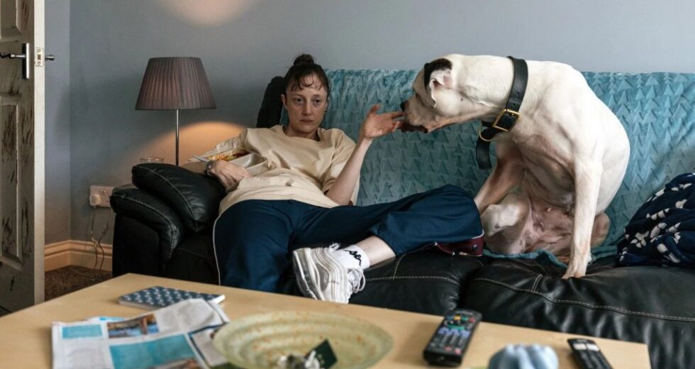 ‘Dragonfly’ indie britânico é o melhor do show