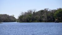 Homem da Flórida, 22 anos, morre após incidente de mergulho com snorkel no rio St. Johns, no estado – National