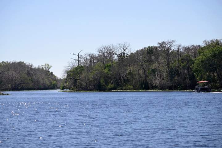Homem da Flórida, 22 anos, morre após incidente de mergulho com snorkel no rio St. Johns, no estado – National