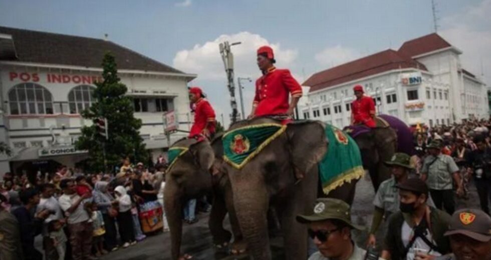 O Grebeg Syawal Kraton Jogja deste ano não tem carnaval de elefantes, esse é o motivo