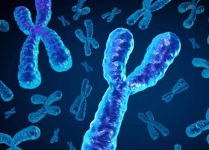 Os homens estão perdendo um cromossomo chave com a idade e isso pode ser mortal