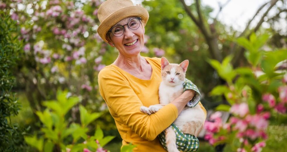 A surpreendente ligação do câncer entre gatos e humanos