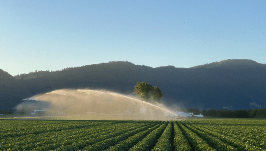 Futuro incerto para a fazenda de batata de Surrey, já que a terra é propriedade do governo federal – BC