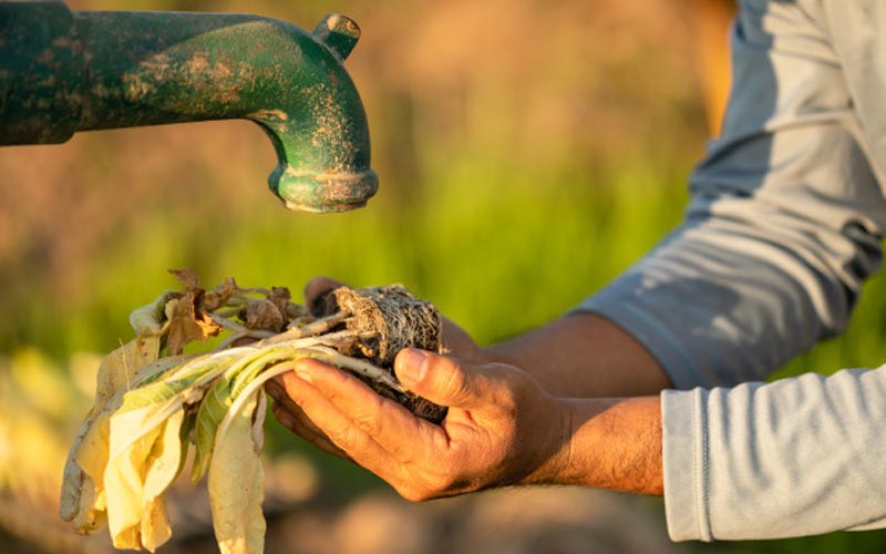 Ilha de Java ameaçada pela crise hídrica, Bappenas alerta sobre sérios riscos