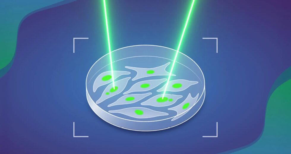 A IA finalmente testa uma teoria centenária sobre como o câncer começa