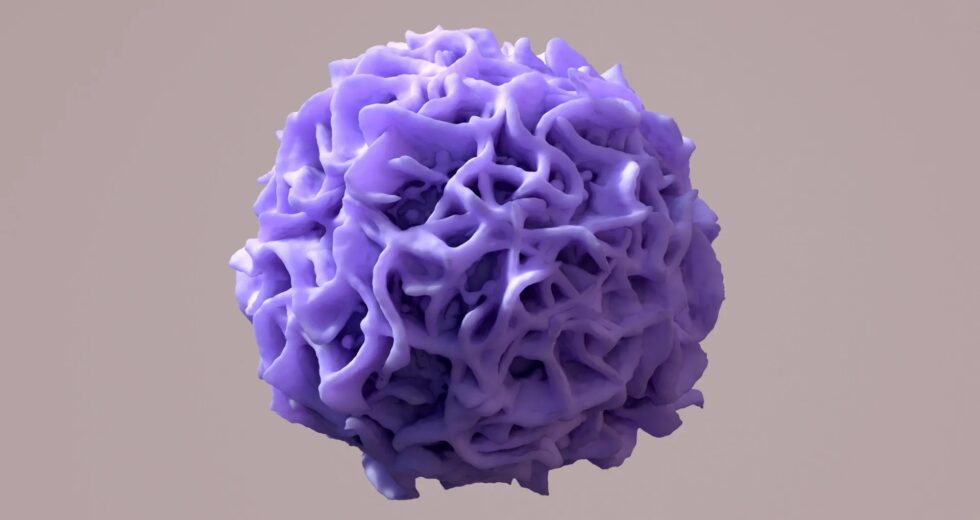 Cientistas descobrem a mudança genética que mantém seus órgãos saudáveis