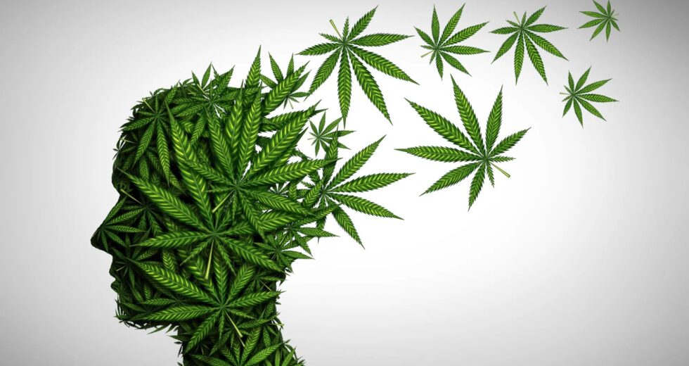 Estudo sobre cannabis descobre que THC pode criar falsas memórias
