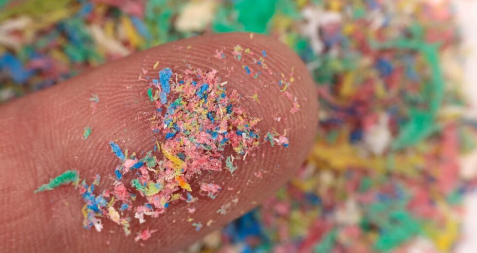 Microplásticos podem estar danificando silenciosamente seu cérebro e alimentando Alzheimer e Parkinson