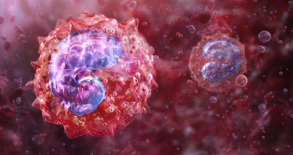 Cientistas descobrem células imunológicas ligadas à longa fadiga e sintomas de COVID