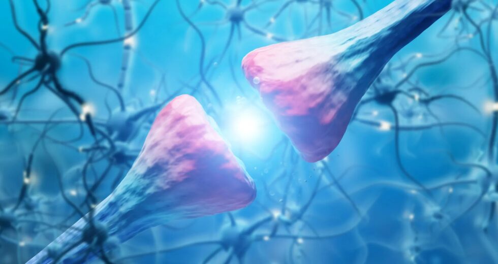Cientistas descobrem a proteína cerebral que leva à recaída da cocaína