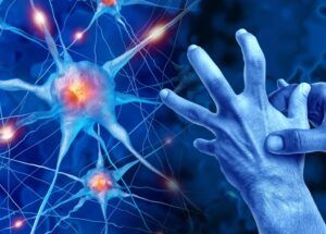 Pesticida comum pode mais que duplicar o risco de doença de Parkinson