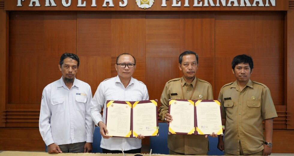 UGM e DPKP concordam em treinar 585 criadores de cabras e ovelhas DIY