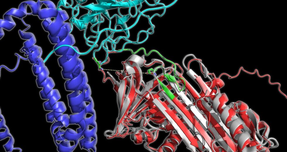 Um padrão surpreendente de proteínas no sangue pode revelar Alzheimer