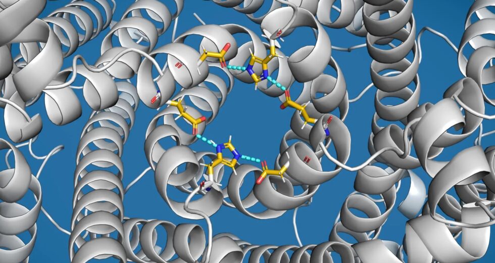 Cientistas descobrem “válvula de transbordamento” em células ligadas à doença de Parkinson