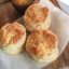 Your picnic is missing biscuits