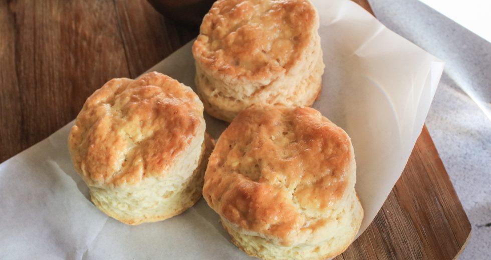 Your picnic is missing biscuits