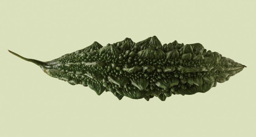 The resilience of uchche, bitter melon