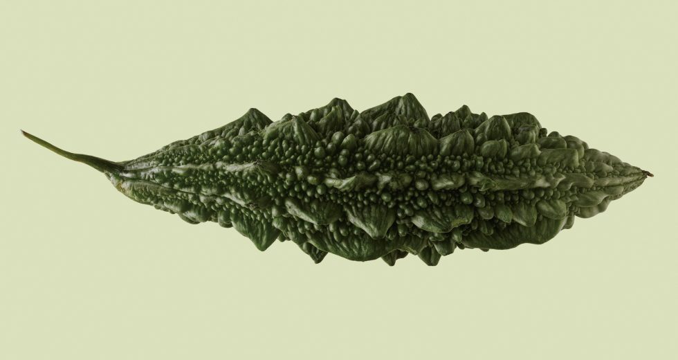The resilience of uchche, bitter melon