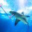 Wild animals don’t exist for your social media content