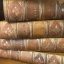 Library book found in fireplace returns 150 years late