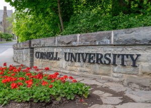 Cornell has a new dorm rule: Don’t butcher bears