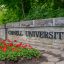 Cornell has a new dorm rule: Don’t butcher bears