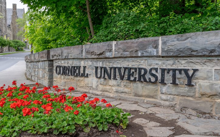 Cornell has a new dorm rule: Don’t butcher bears