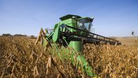 How soybeans took over the American diet – without anyone noticing
