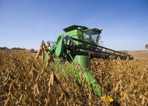 How soybeans took over the American diet – without anyone noticing