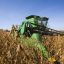How soybeans took over the American diet – without anyone noticing
