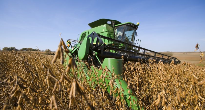 How soybeans took over the American diet – without anyone noticing