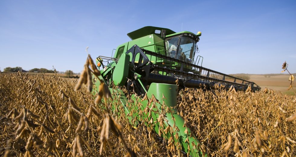 How soybeans took over the American diet – without anyone noticing