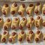 The global appeal of the pastry dog